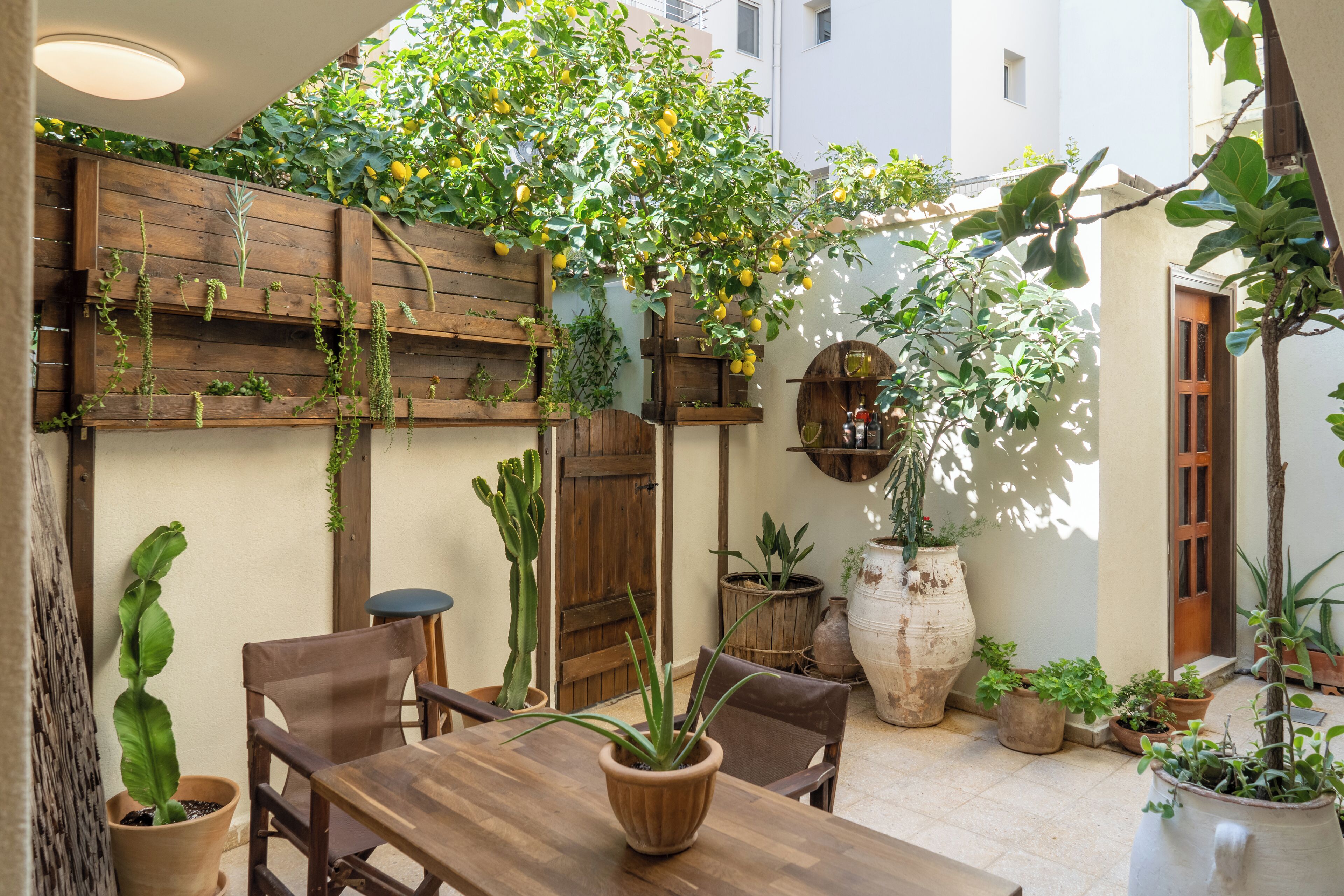 A patio with a wooden table and chairs, surrounded by potted plants and a lemon tree.