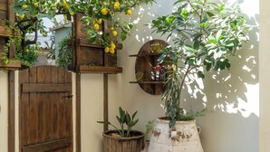 Una puerta de madera rústica, un estante de madera con botellas y una planta grande en maceta frente a una pared.