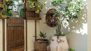 STRELITZIA | Garden view