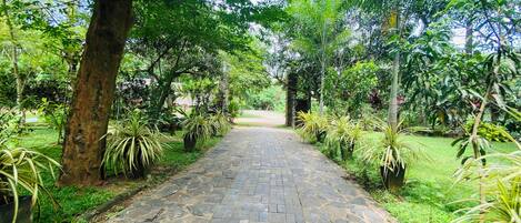 A paved pathway lined with various plants and trees, leading towards a distant structure.