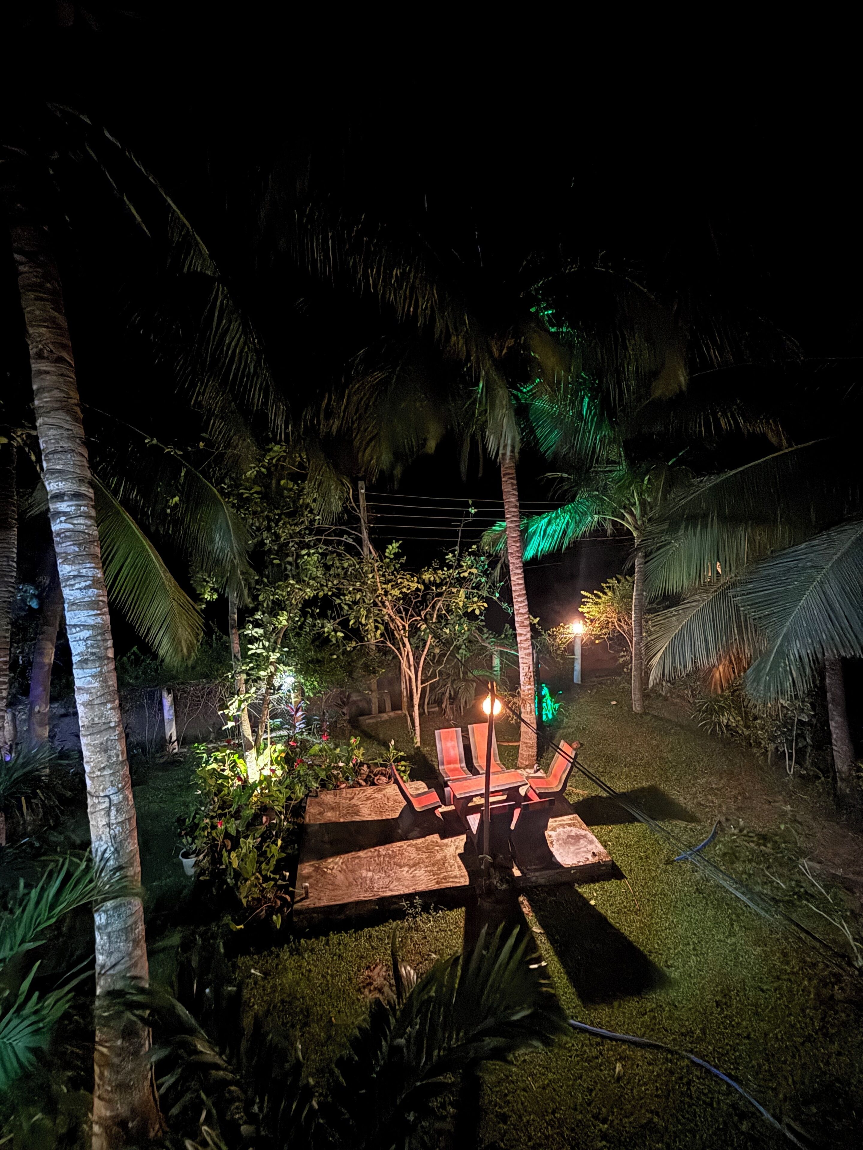 A nighttime outdoor seating area with lounge chairs and a table, surrounded by palm trees and illuminated by ambient lighting.