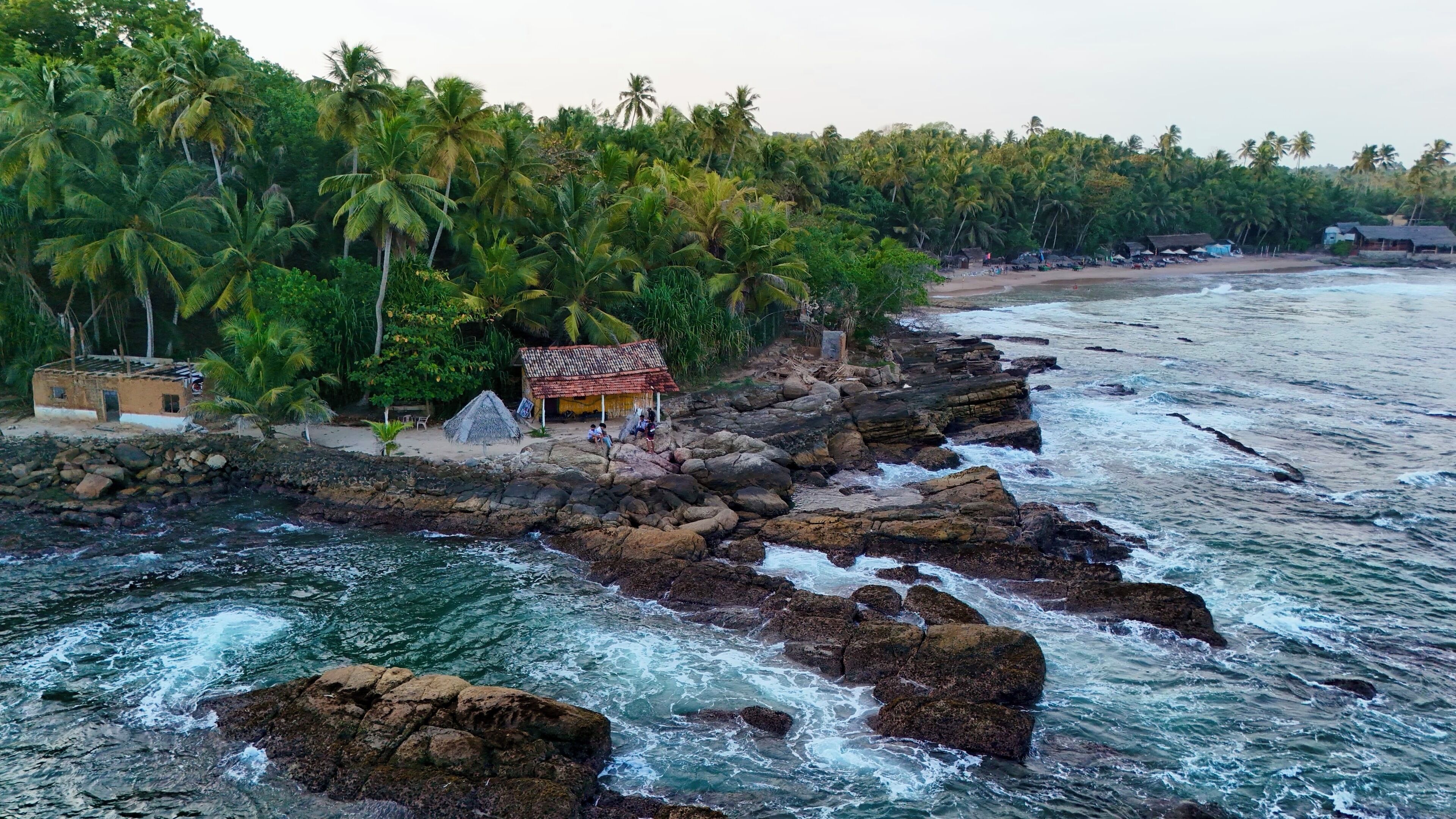 Paisaje costero con costa rocosa, palmeras y una pequeña cabaña.
