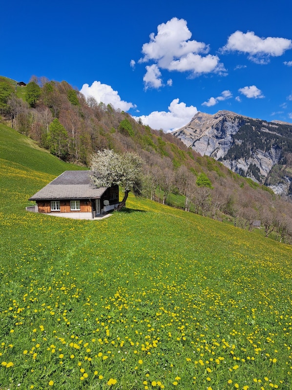 Una casa con techo inclinado, rodeada por un campo de flores amarillas, y una montaña al fondo.
