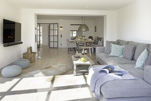 Televisión, chimenea y videoteca 