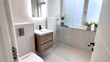 Shower, hair dryer, bidet, towels
