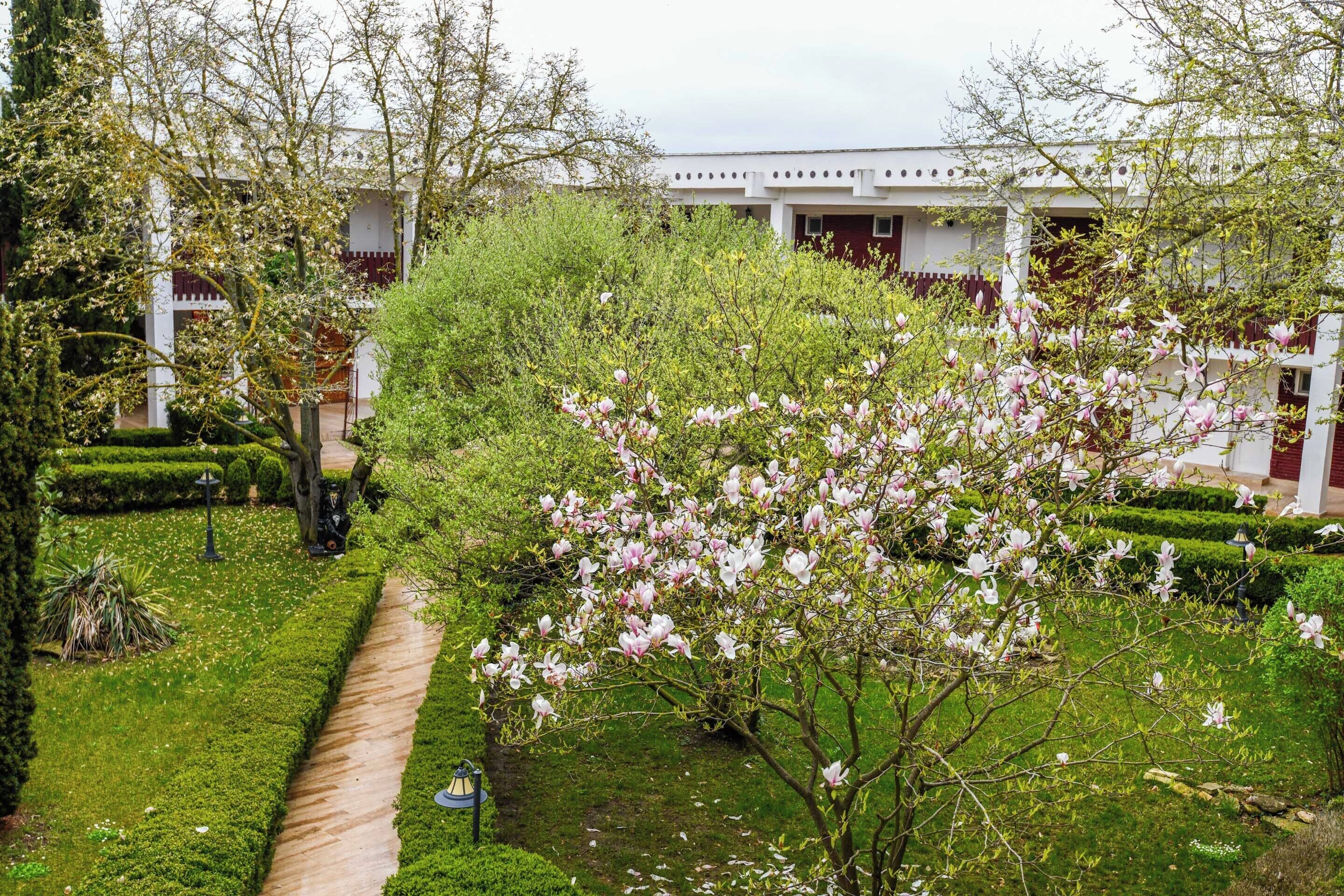 Un jardin avec un sentier, un arbre aux fleurs roses et un bâtiment à la façade blanche et aux détails rouges.