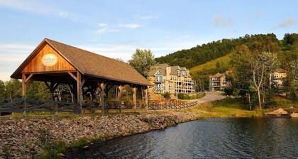 Ski, MB In/Out, Fireplace warm et cozy retreat