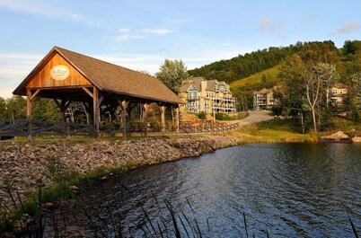 Ski, MB In/Out, Fireplace warm et cozy retreat