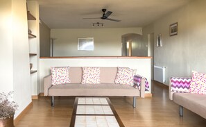 Télévision, cheminée, table de tennis de table