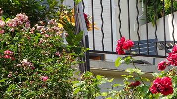 Details aan de buitenkant