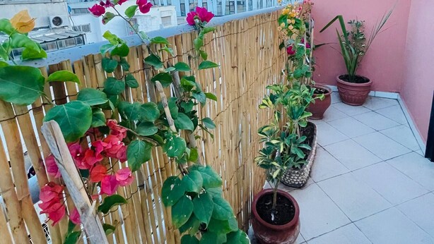 A rooftop with a bamboo fence, potted plants, and a view of modern buildings. - Beautiful Studio in the heart of Casablanca (Casablanca)