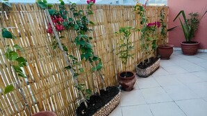 A rooftop garden with potted plants and a bamboo fence. - Beautiful Studio in the heart of Casablanca (Casablanca)