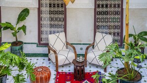 Una habitación con dos sillones blancos acolchados, un tapete rojo estampado y plantas en macetas.