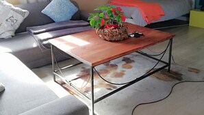 Una sala de estar moderna con sofá, cama, una mesita de centro con una planta y un cuadro en la pared.