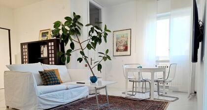 Home CasagĂš+free Parking