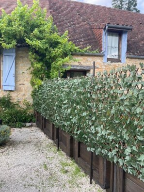 Property grounds - Gîte le Havana (Payrac)