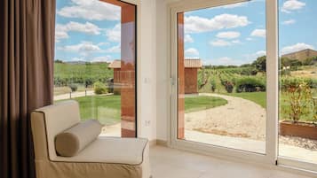 Deluxe Room, 1 King Bed, Non Smoking, Vineyard View | View from room