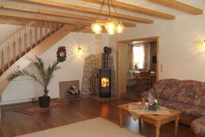 テレビ、暖炉、DVD プレーヤー、書庫