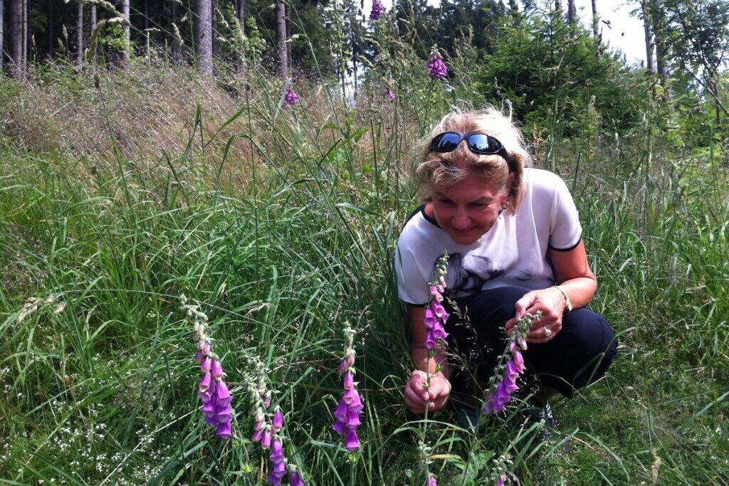 Una persona agachada en un entorno natural, con pastos altos y flores púrpuras.