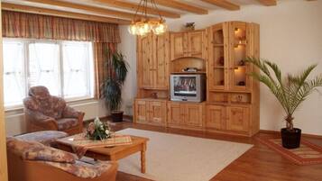 Fernseher, Kamin, DVD-Player, Bücher