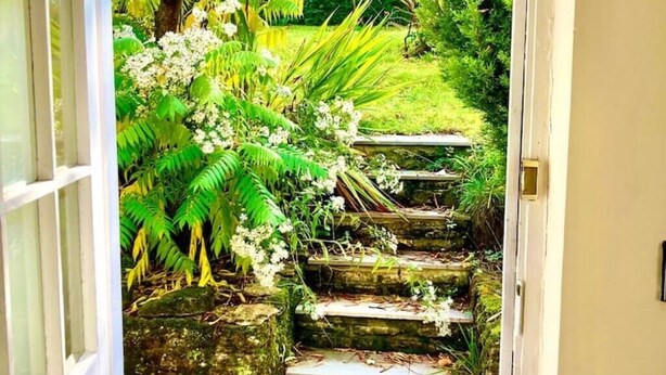 A garden pathway with steps leading to a door.