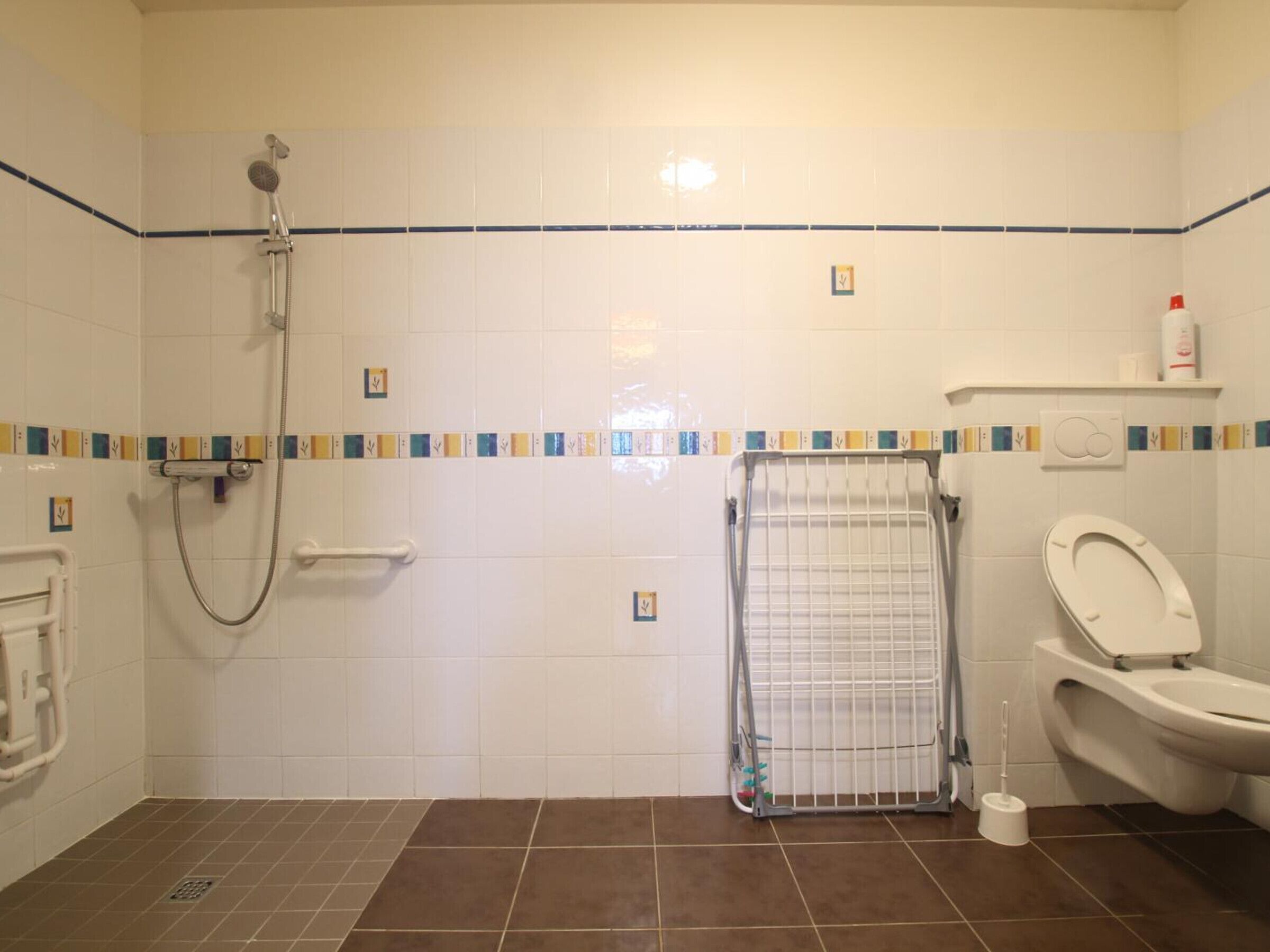 Une salle de bain avec une douche, des toilettes et un porte-serviettes.