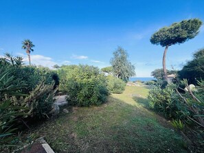 Terrain de l’hébergement 