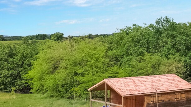 A rustic wooden cabin with a tiled roof, surrounded by lush greenery and a clear sky. - Lovely home in Barjac with outdoor swimming pool (Barjac)
