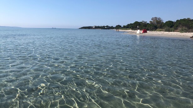 Une plage dégagée avec une eau peu profonde, un rivage sablonneux et une ligne d’horizon lointaine où l’on aperçoit des bâtiments.