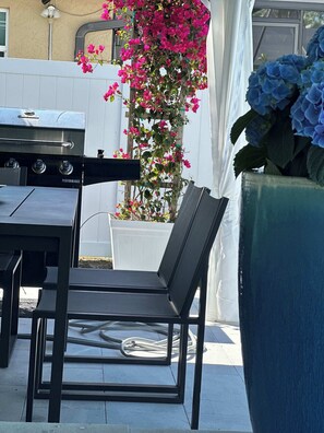 A patio with a grill, a chair, and a potted plant. - 5331 Aqua Haven - Waterfall Pool (Naples)