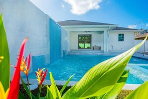 Pool - 5332 Aqua Haven - Waterfall Pool (Naples)