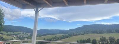 3 Zimmer Ferienwohnung, Schwarzwald, Nationalpark in der Nähe,haustierfreundlich