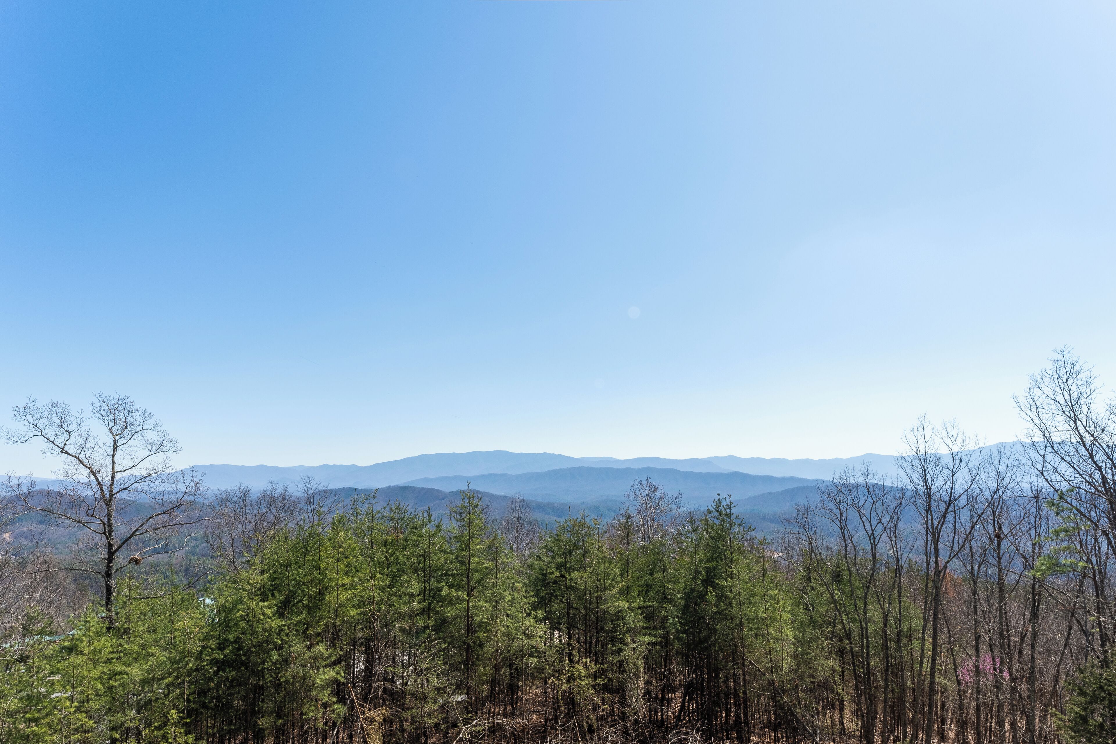 A mountainous landscape with dense forest and clear skies.