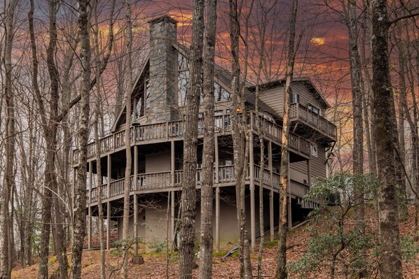 Unclassified image, 1 of 50, button