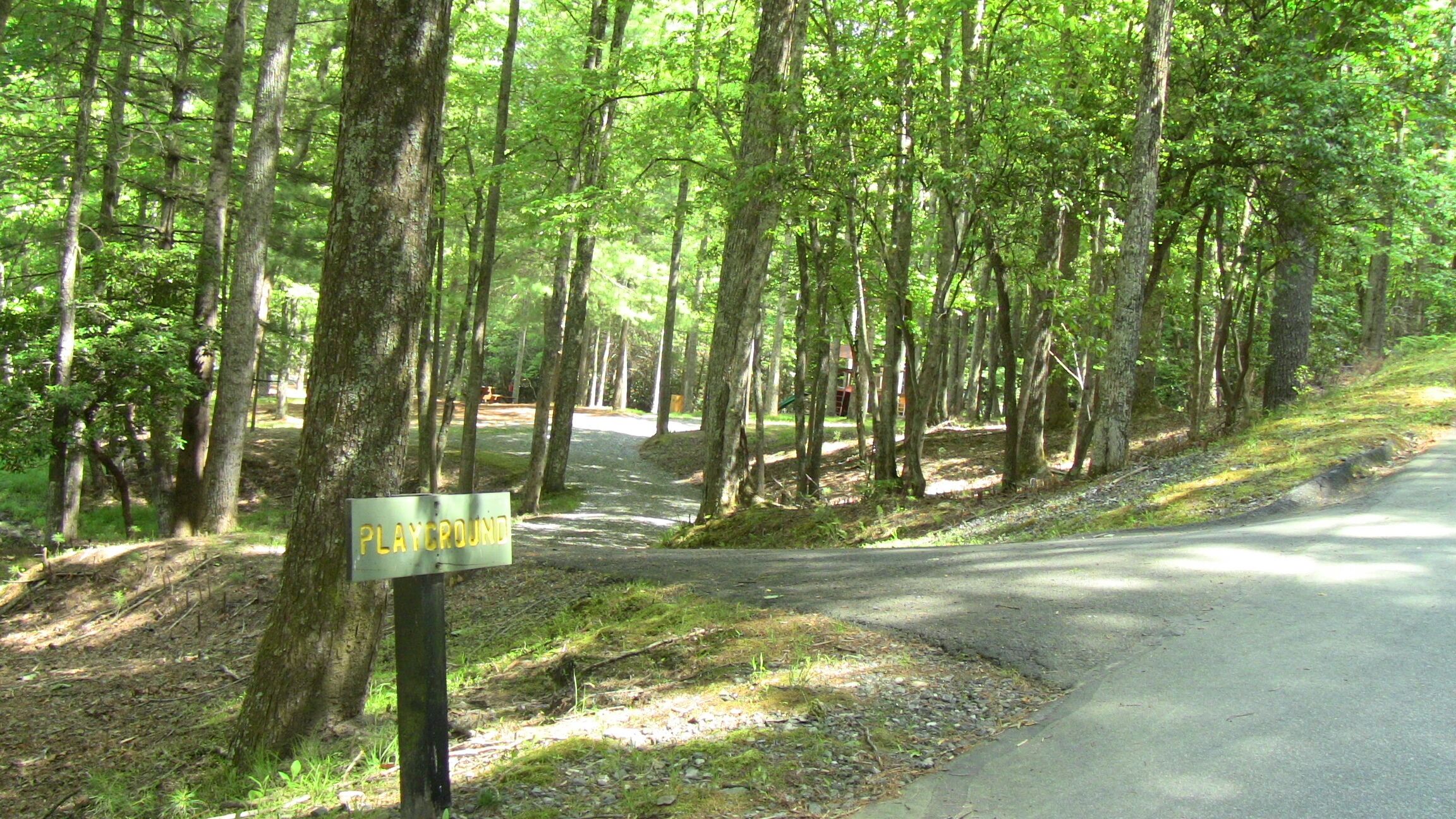 A forested area with a sign indicating a playground.