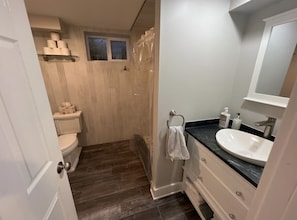 Hair dryer, towels, soap, toilet paper