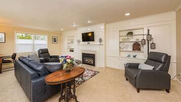 Télévision, cheminée, jeux vidéo