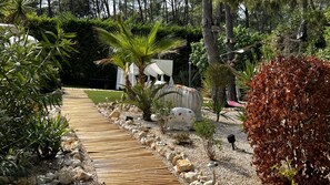 Stroll through a serene tropical garden, surrounded by lush plants and a playful rhinoceros sculpture.