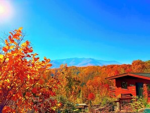 Exterior - Stunning Mtn View, True Log Cabin, Romance Getaway, Rare Find (Gatlinburg)
