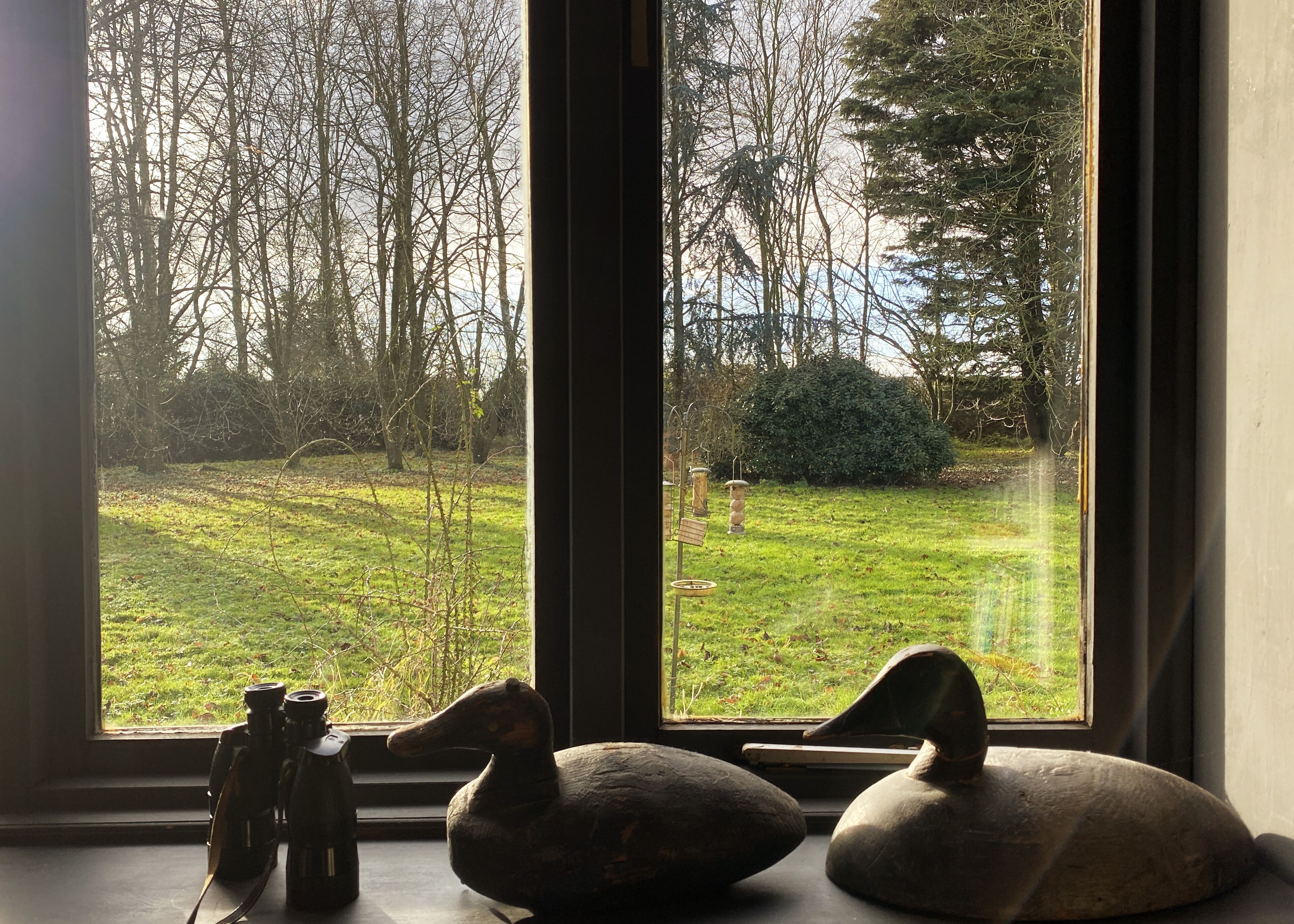 Vista desde la propiedad