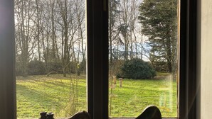 A window with a view of a grassy yard and trees.