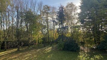 A forested area with a grassy path.