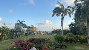 Un jardin tropical avec des palmiers, des plantes à fleurs et une vue sur l’océan.