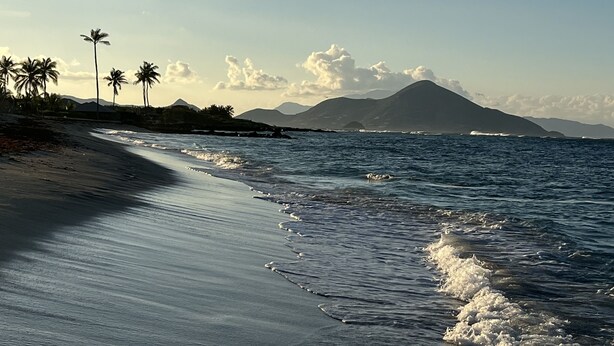 Une plage bordée de palmiers, une montagne en arrière-plan et des vagues qui se rapprochent du rivage.