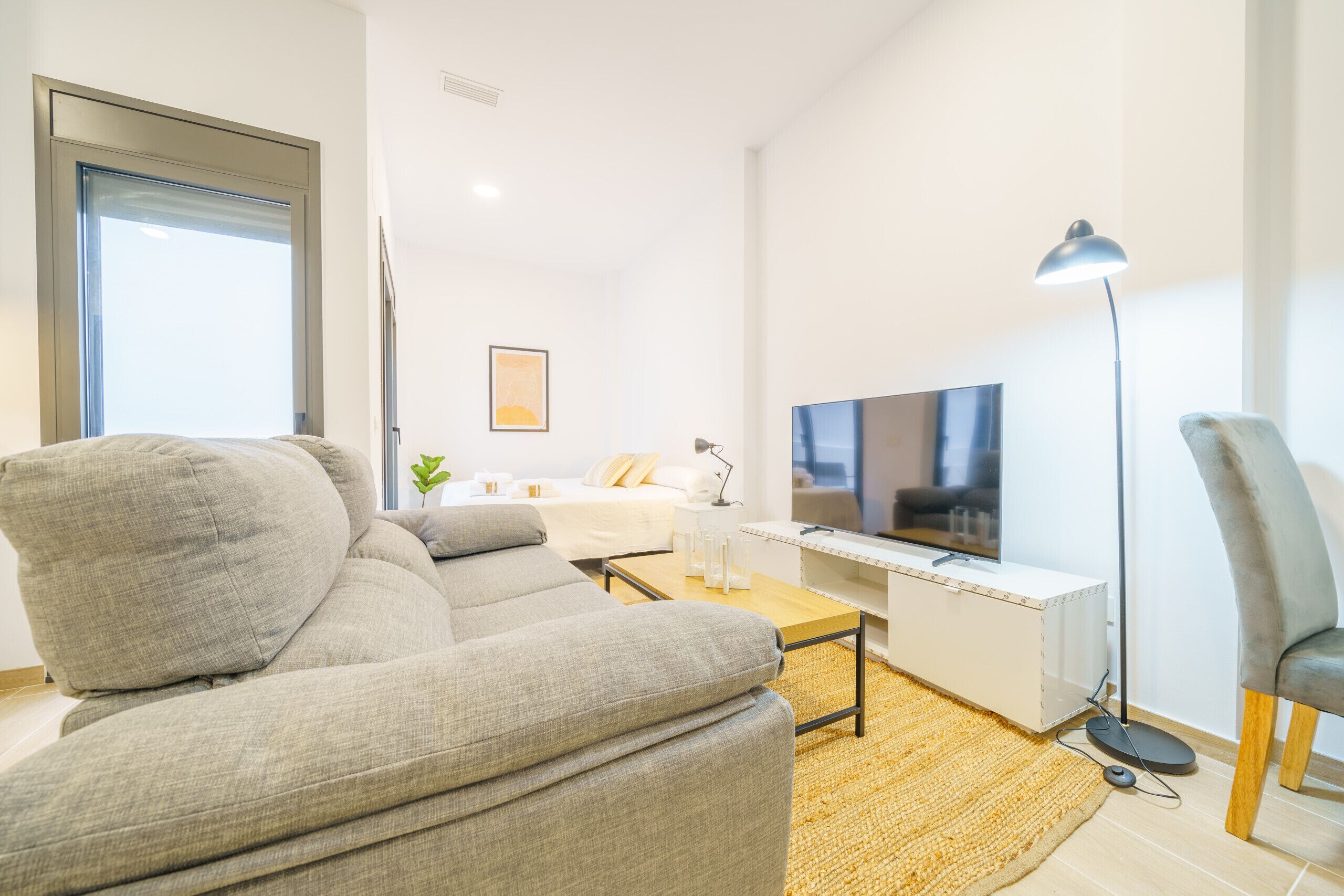 TV