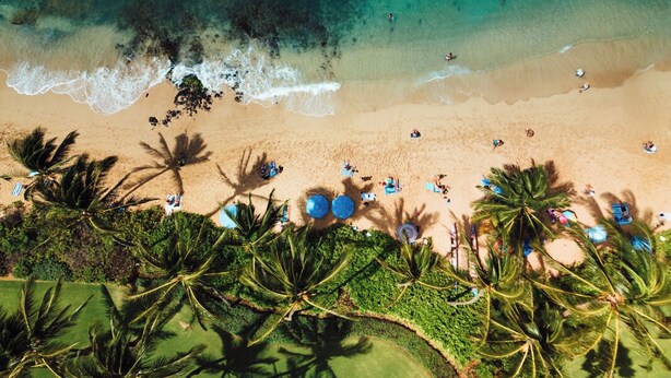 Vue aérienne d’une plage aux eaux turquoise et limpides, bordée de palmiers, où des personnes se prélassent au soleil.