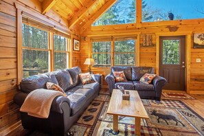 TV, fireplace, DVD player, table football