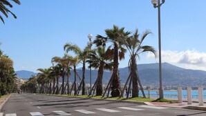 A coastal road lined with palm trees and street lamps, leading to a view of the sea and mountains.