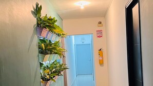 星評価なしの画像、2 / 31、ボタン