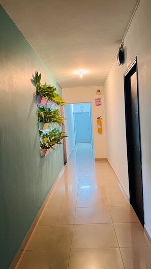 Terrace/patio - Kromatic Hostel (Medellín)